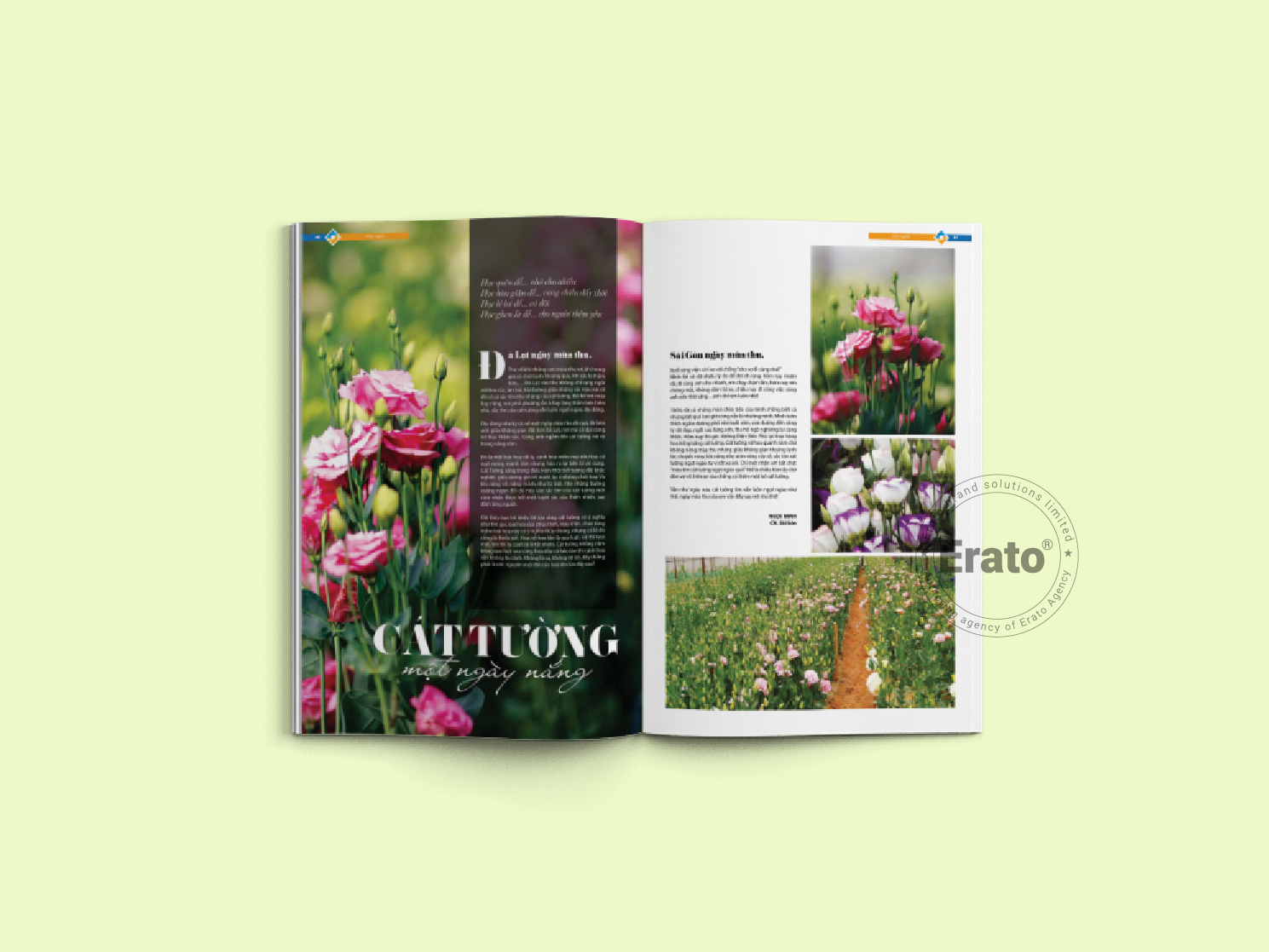 img dự án