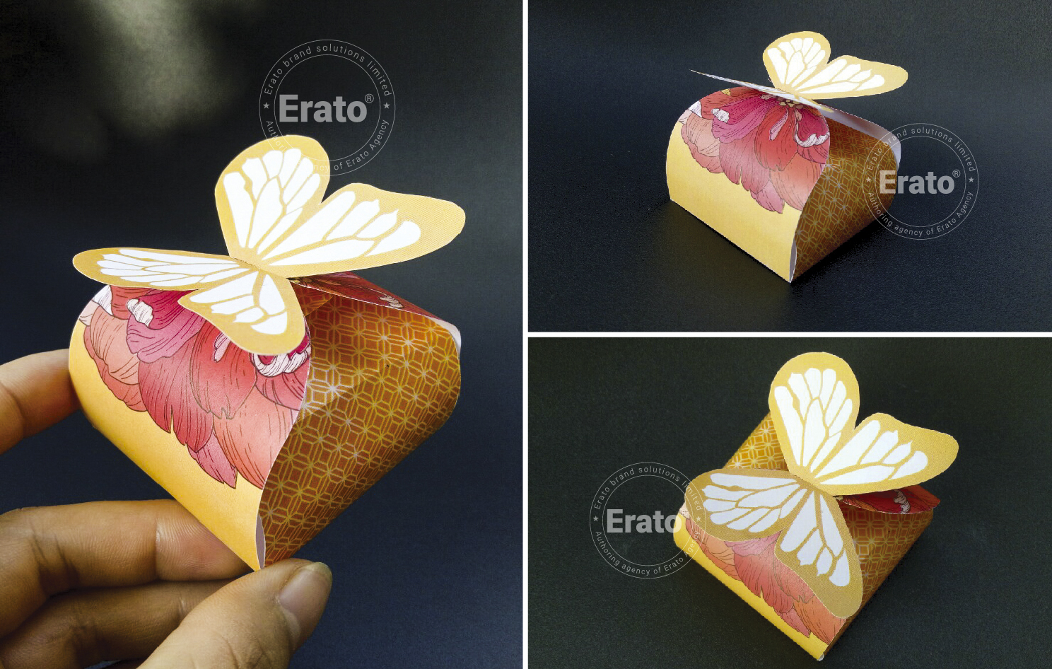 img dự án