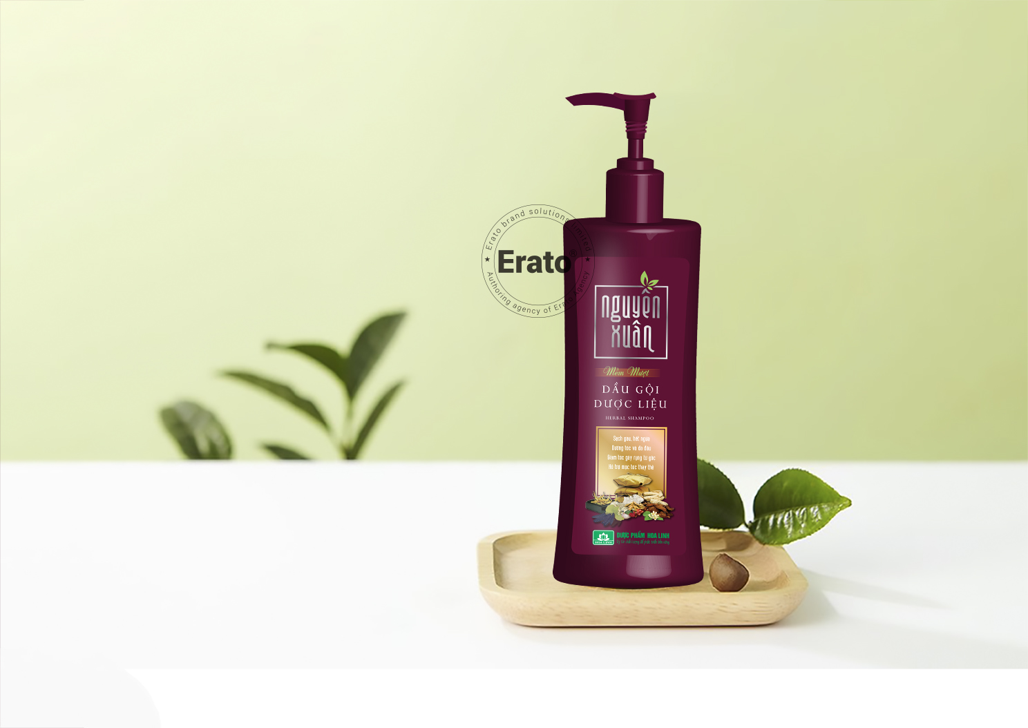 img dự án