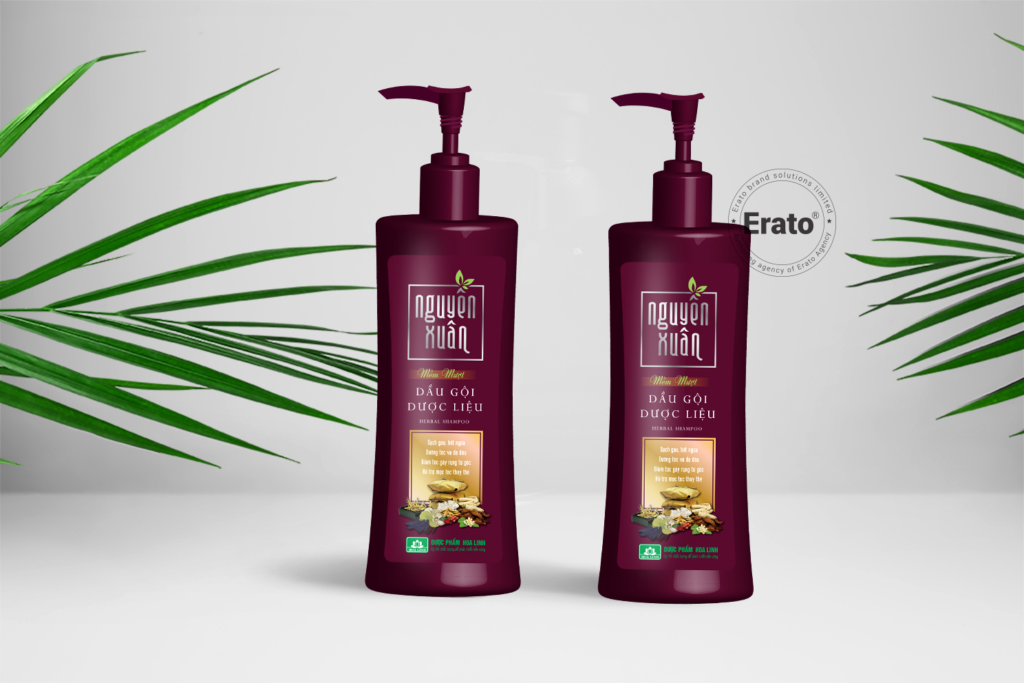 img dự án