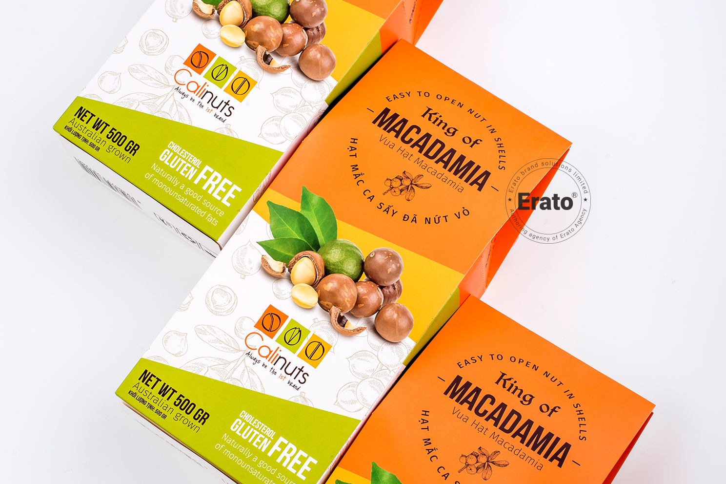 img dự án