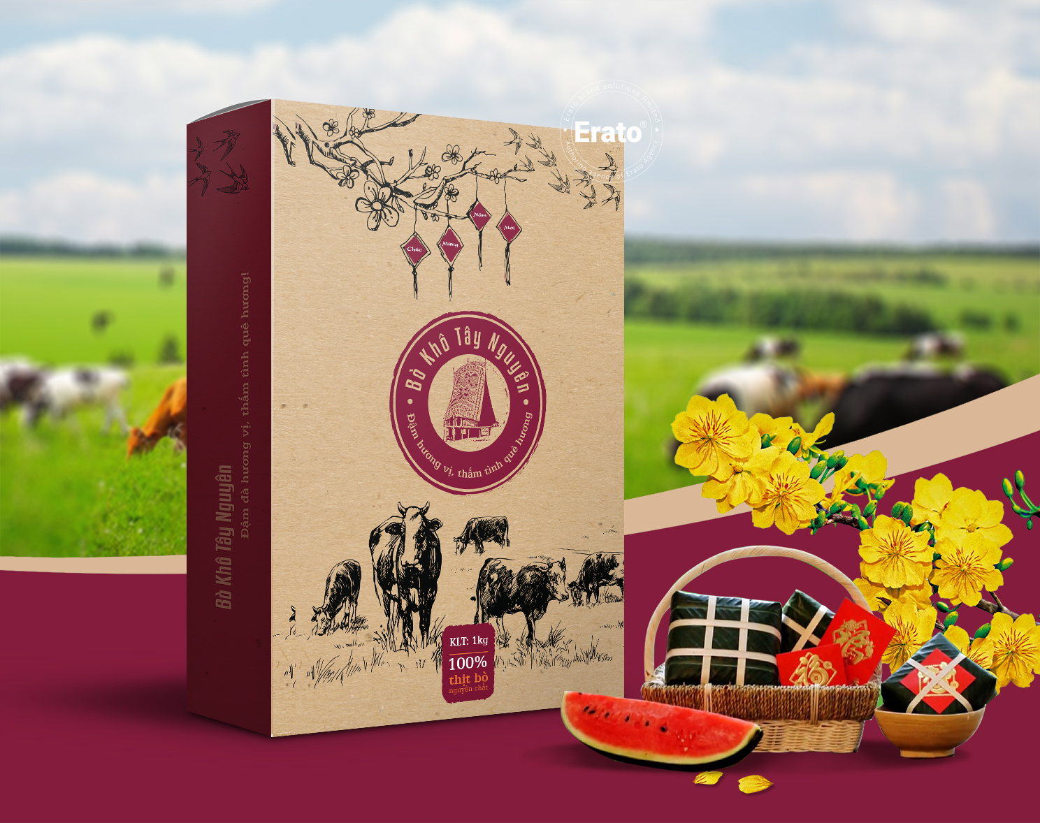 THIẾT KẾ BAO BÌ THỊT BÒ KHÔ TÂY NGUYÊN