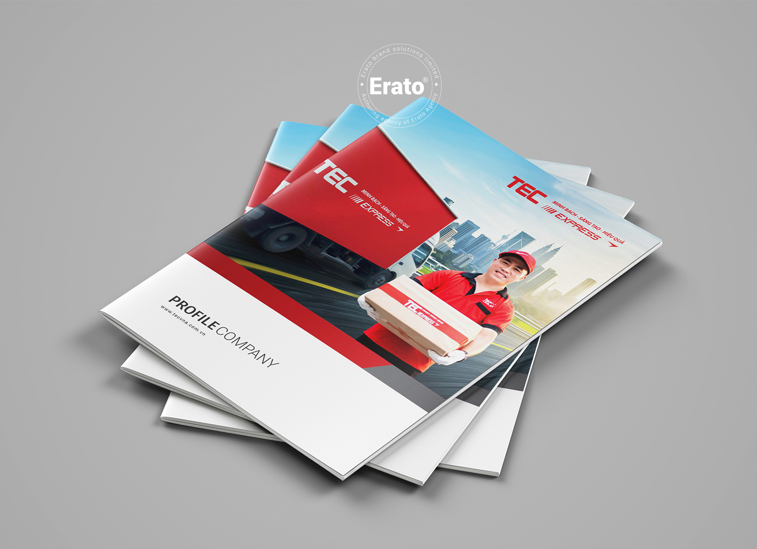 THIẾT KẾ PROFILE CÔNG TY CHUYỂN PHÁT NHANH TEC VN